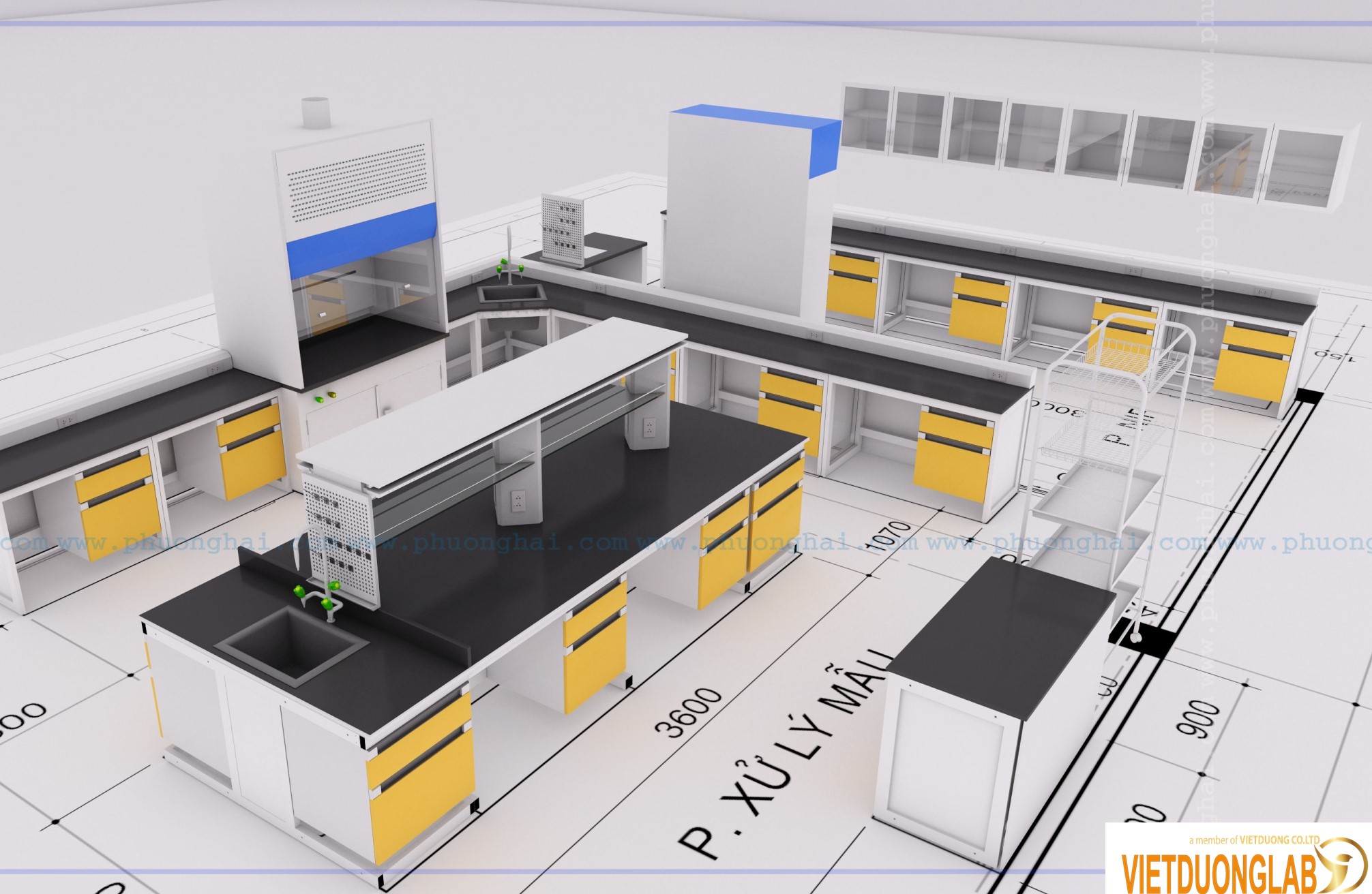 Bàn ghế phòng thí nghiệm đạt tiêu chuẩn ISO 17025: Nhà thầu chuyên nghiệp cho cá